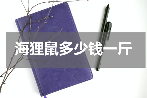 海狸鼠多少钱一斤