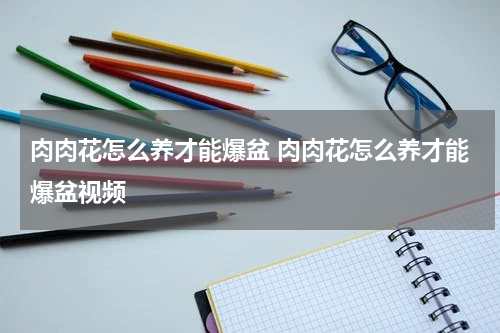 肉肉花怎么养才能爆盆 肉肉花怎么养才能爆盆视频
