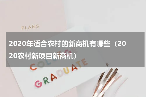 2020年适合农村的新商机有哪些（2020农村新项目新商机）