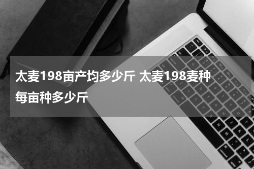 太麦198亩产均多少斤 太麦198麦种每亩种多少斤