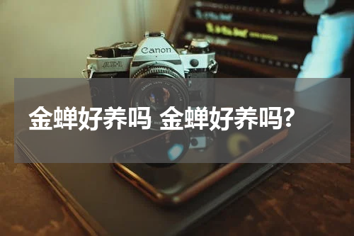 金蝉好养吗 金蝉好养吗?