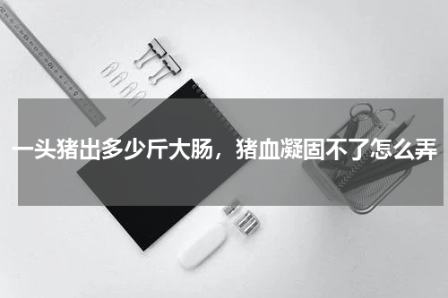 一头猪出多少斤大肠，猪血凝固不了怎么弄