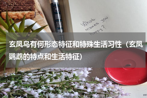 玄凤鸟有何形态特征和特殊生活习性（玄凤鹦鹉的特点和生活特征）