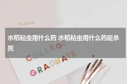 水稻粘虫用什么药 水稻粘虫用什么药能杀死