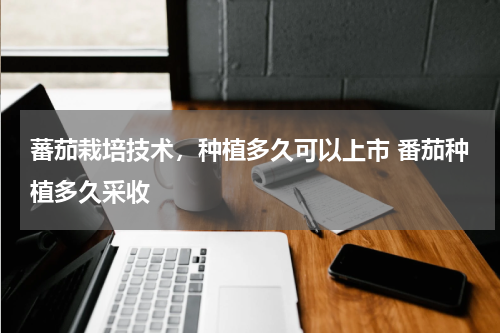 蕃茄栽培技术，种植多久可以上市 番茄种植多久采收