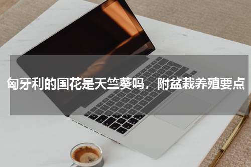 匈牙利的国花是天竺葵吗，附盆栽养殖要点