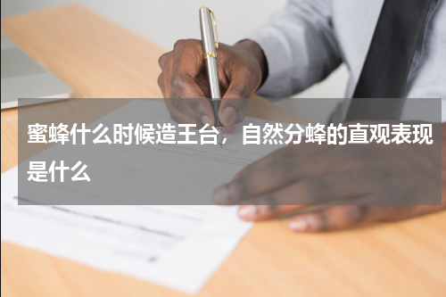 蜜蜂什么时候造王台，自然分蜂的直观表现是什么