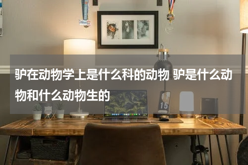 驴在动物学上是什么科的动物 驴是什么动物和什么动物生的