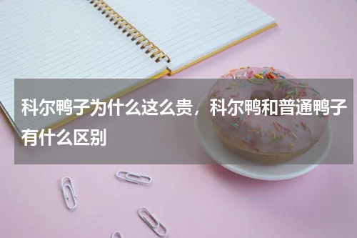 科尔鸭子为什么这么贵，科尔鸭和普通鸭子有什么区别