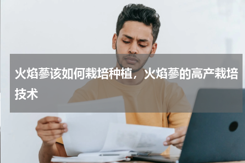 火焰蔘该如何栽培种植，火焰蔘的高产栽培技术
