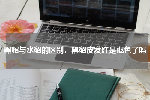 黑貂与水貂的区别，黑貂皮发红是褪色了吗