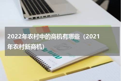 2022年农村中的商机有哪些（2021年农村新商机）