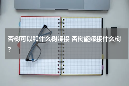 杏树可以和什么树嫁接 杏树能嫁接什么树?
