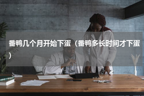 番鸭几个月开始下蛋（番鸭多长时间才下蛋）