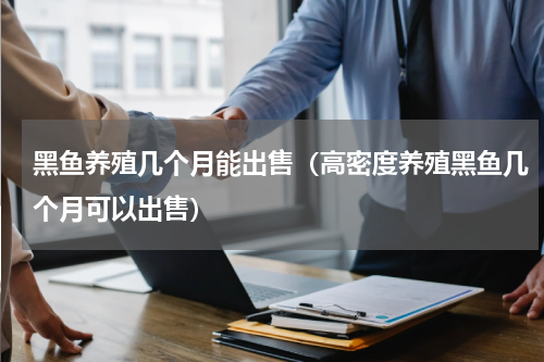 黑鱼养殖几个月能出售（高密度养殖黑鱼几个月可以出售）