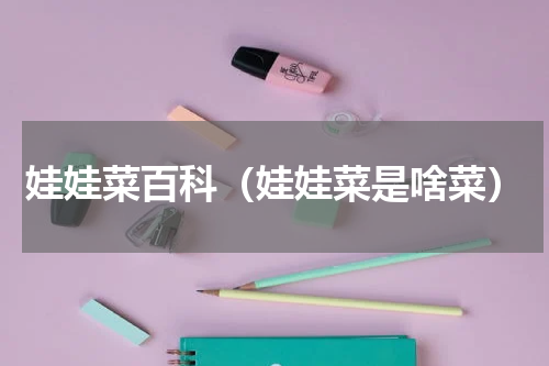 娃娃菜百科（娃娃菜是啥菜）