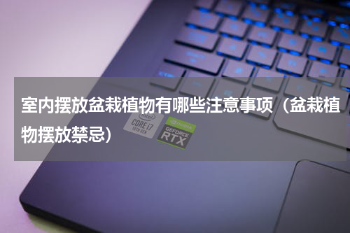 室内摆放盆栽植物有哪些注意事项（盆栽植物摆放禁忌）