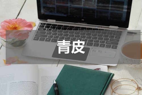 青皮