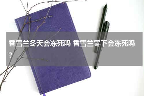 香雪兰冬天会冻死吗 香雪兰零下会冻死吗?