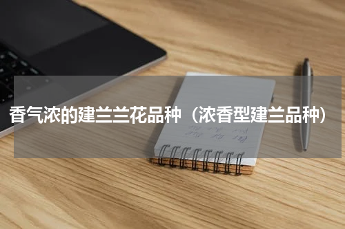 香气浓的建兰兰花品种（浓香型建兰品种）