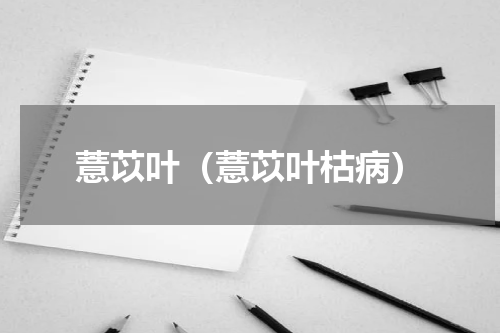 薏苡叶（薏苡叶枯病）