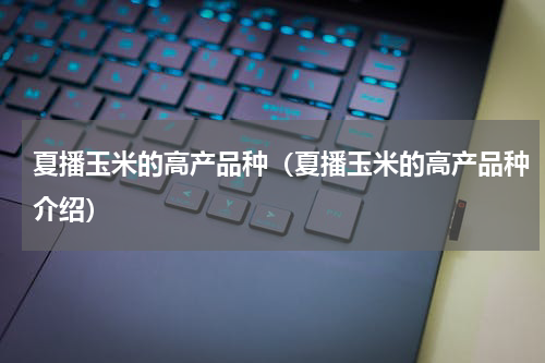 夏播玉米的高产品种（夏播玉米的高产品种介绍）