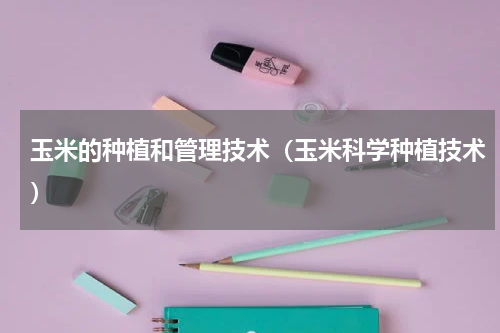 玉米的种植和管理技术（玉米科学种植技术）