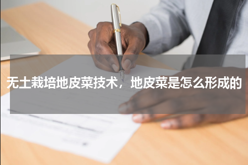 无土栽培地皮菜技术，地皮菜是怎么形成的