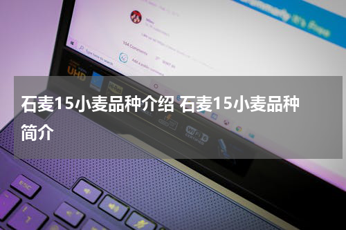 石麦15小麦品种介绍 石麦15小麦品种简介