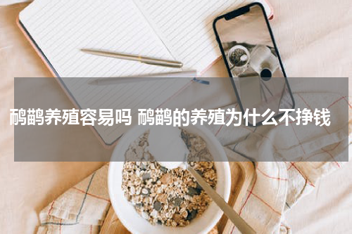 鸸鹋养殖容易吗 鸸鹋的养殖为什么不挣钱