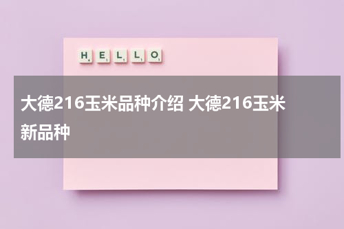 大德216玉米品种介绍 大德216玉米新品种