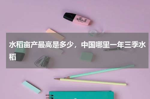 水稻亩产最高是多少，中国哪里一年三季水稻