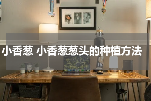 小香葱 小香葱葱头的种植方法