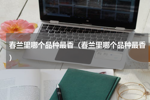春兰里哪个品种最香（春兰里哪个品种最香）