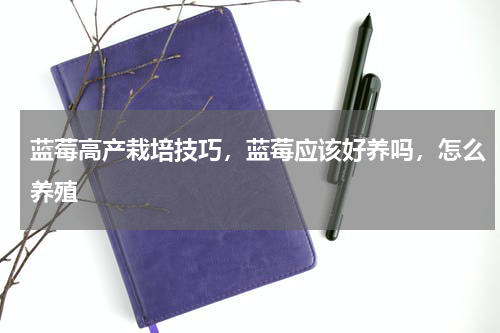 蓝莓高产栽培技巧，蓝莓应该好养吗，怎么养殖