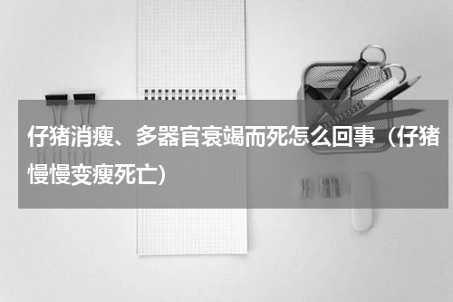 仔猪消瘦、多器官衰竭而死怎么回事（仔猪慢慢变瘦死亡）