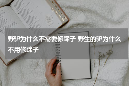 野驴为什么不需要修蹄子 野生的驴为什么不用修蹄子