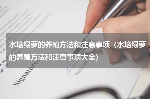 水培绿萝的养殖方法和注意事项（水培绿萝的养殖方法和注意事项大全）