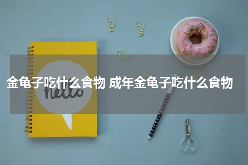 金龟子吃什么食物 成年金龟子吃什么食物
