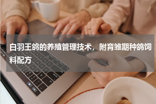 白羽王鸽的养殖管理技术，附育雏期种鸽饲料配方