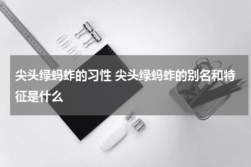 尖头绿蚂蚱的习性 尖头绿蚂蚱的别名和特征是什么