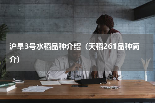 沪旱3号水稻品种介绍（天稻261品种简介）