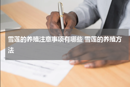 雪莲的养殖注意事项有哪些 雪莲的养殖方法