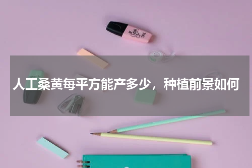 人工桑黄每平方能产多少，种植前景如何