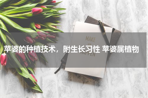 苹婆的种植技术，附生长习性 苹婆属植物