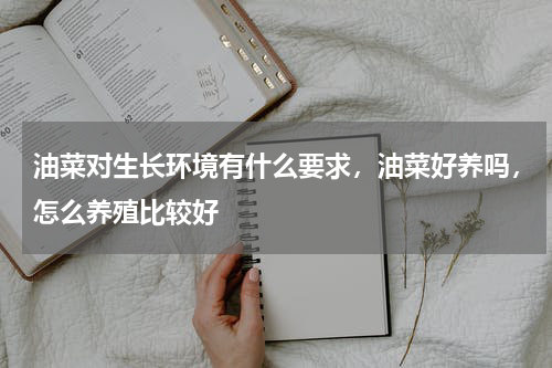油菜对生长环境有什么要求，油菜好养吗，怎么养殖比较好