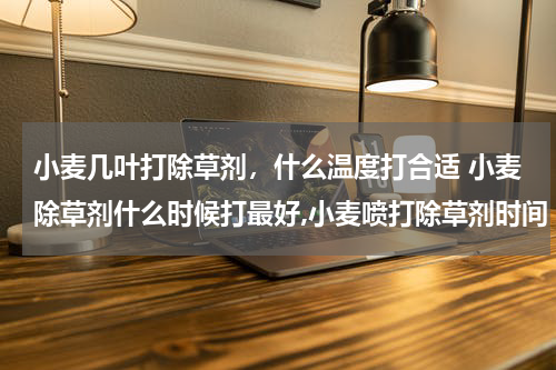 小麦几叶打除草剂，什么温度打合适 小麦除草剂什么时候打最好,小麦喷打除草剂时间