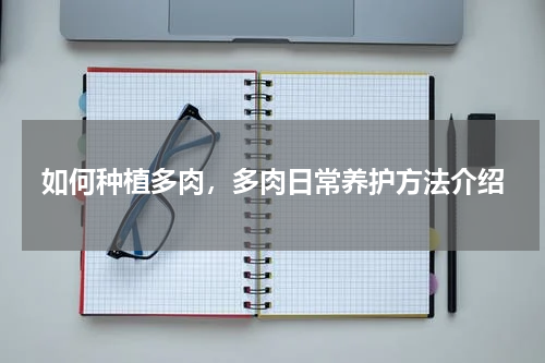 如何种植多肉，多肉日常养护方法介绍