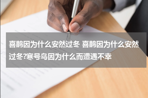 喜鹊因为什么安然过冬 喜鹊因为什么安然过冬?寒号鸟因为什么而遭遇不幸