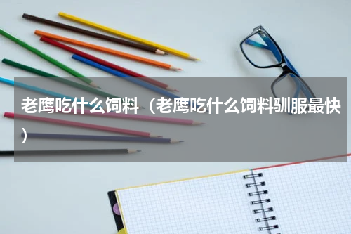 老鹰吃什么饲料（老鹰吃什么饲料驯服最快）